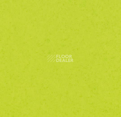 Линолеум Forbo Modul'up compact material 248UP43C lime green canyon фото 1 | FLOORDEALER